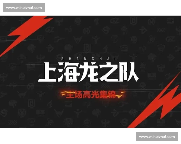 守望先锋：上海龙之队势不可挡，休斯顿野兽能否阻击